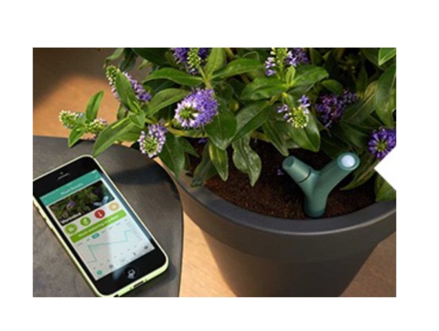 Capteur connecté pour plante en pot