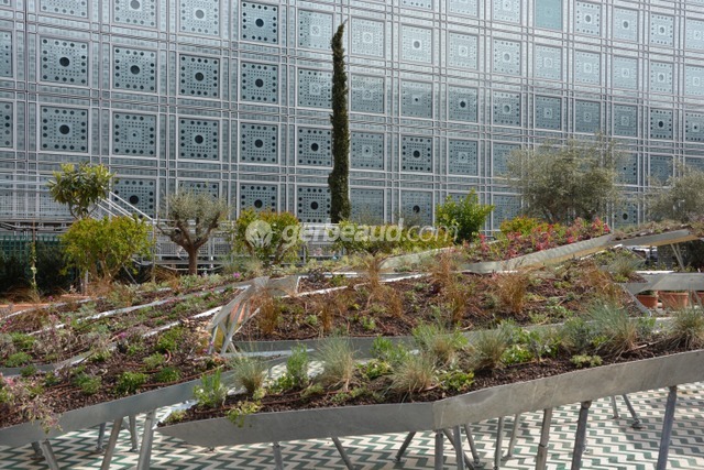 Institut du Monde Arabe, jardin éphémère