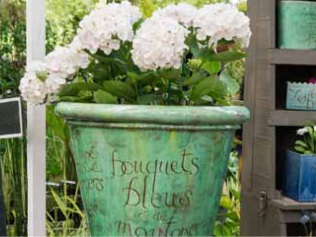 Pot vernissé - Journées des plantes de Chantilly