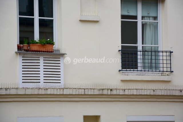 Protection anti-pigeons pour balcons, terrasses et gouttières - 1