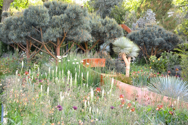 RHS Chelsea Flower Show 2016