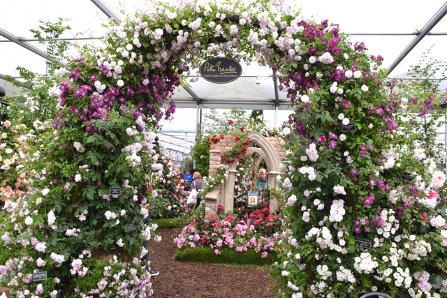 RHS Chelsea Flower Show 2016