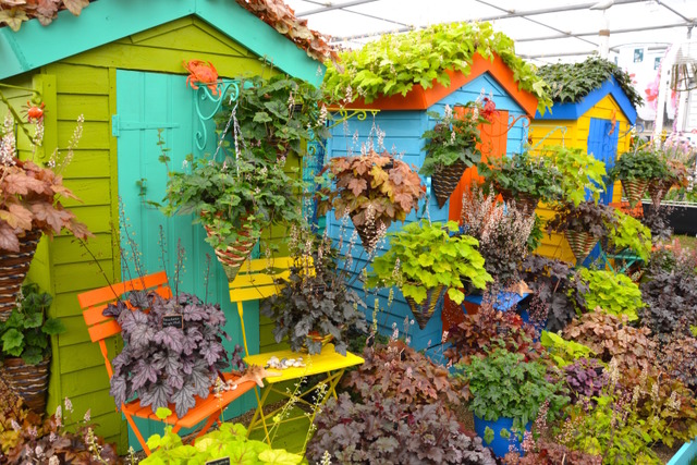 RHS Chelsea Flower Show 2016