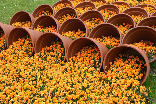 Floralies de Gand 2016