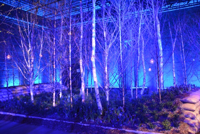 Floralies de Gand 2016