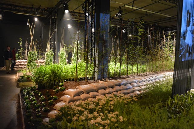 Floralies de Gand 2016