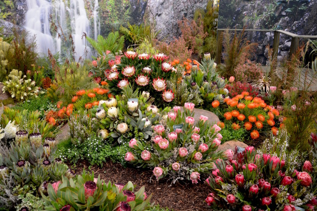 RHS Chelsea Flower Show 2016