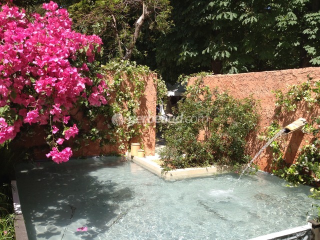 Jardins, Jardin 2015