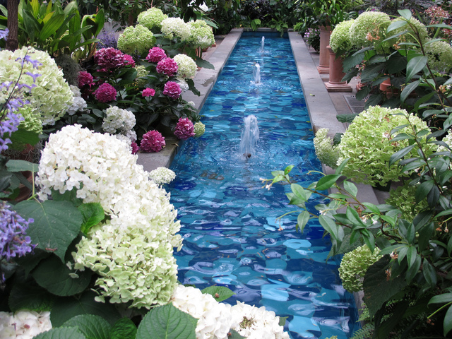 Bassin bordé d'hortensias