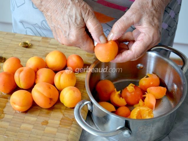 Dénoyautage des abricots