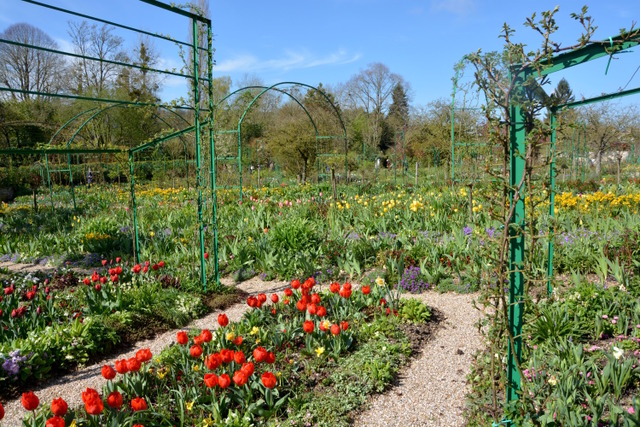 Fleurs et couleurs à perte de vue