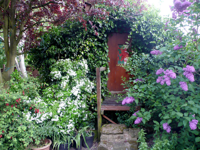 Cabane de jardin cachée dans la végétation