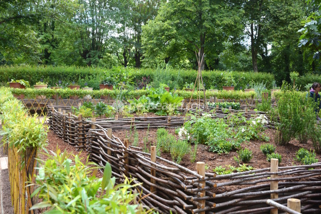Jardin des 9 carrés - Abbaye de Royaumont