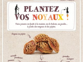 Plantez vos noyaux