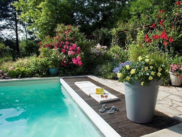 Décorosiers au bord de la piscine