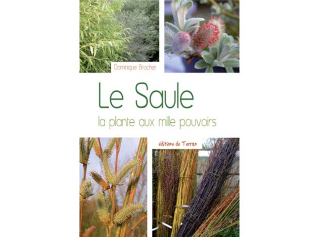 Le Saule