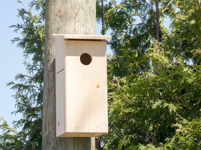 Grande maison à oiseaux en bois pour jardin extérieur, cabanes à