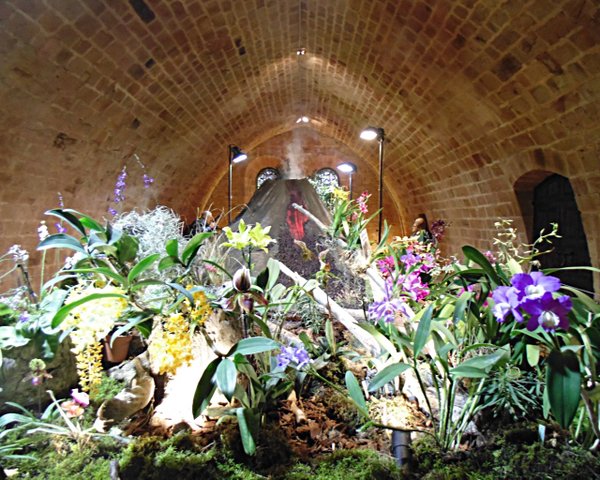 Orchidées à Fontfroide