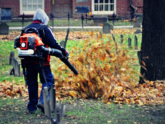 Le ramassage mécanisé des feuilles mortes