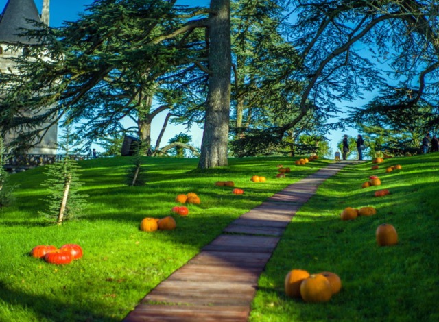 Splendeurs d'Automne à Chaumont sur Loire