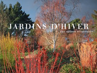 Jardins d'hiver : une saison réinventée