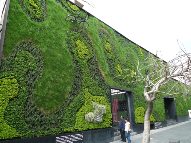 Location mur végétal artificiel - Odzo