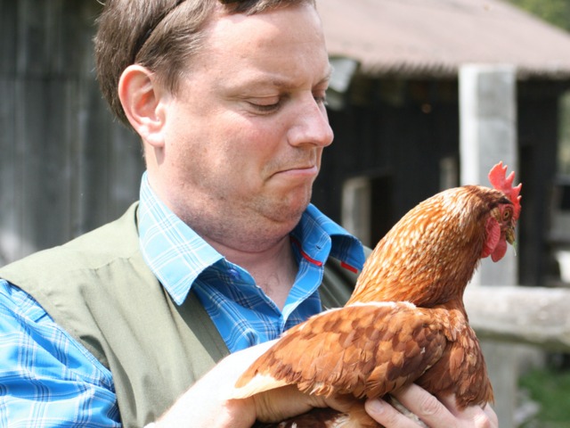 Des poules en bonne santé : remèdes et solutions naturelles