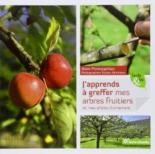 J'apprends à greffer mes arbres fruitiers et mes arbres d'ornement