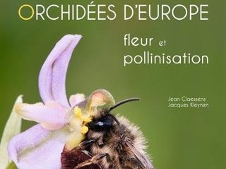 Orchidées d'Europe