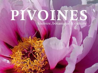 Pivoines histoire, botanique et culture