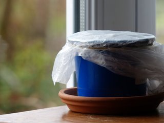 Pot recouvert d'un sac plastique