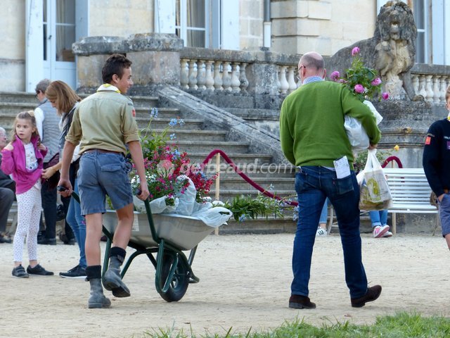 Transport des plantes en brouette