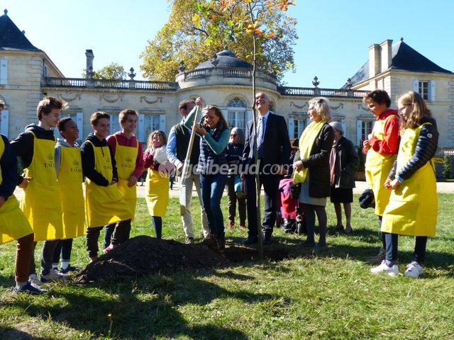 Plantation du chêne Texana