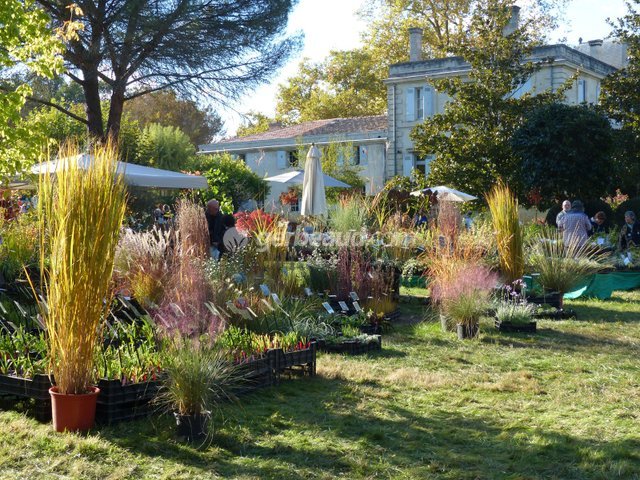 Belle lumière sur les stands