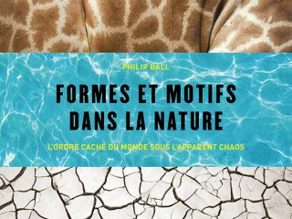Formes et motifs dans la nature