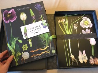 L'herbier des fleurs sauvages de nos régions