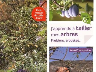 J'apprends à tailler mes arbres