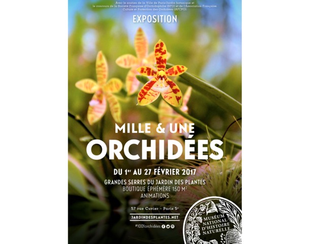 Affiche exposition 1001 orchidées 2017