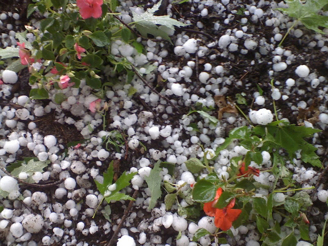 Perlite et vermiculite : utilisation au jardin et en pot