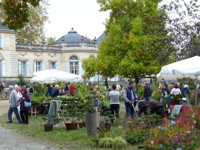 Fête des plantes de Tauzia