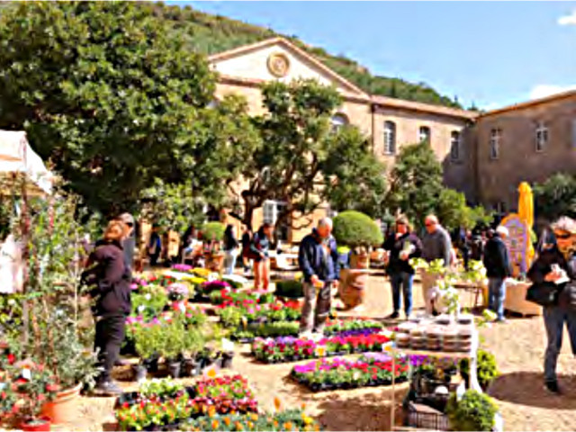 Fête des plantes de Fontfroide