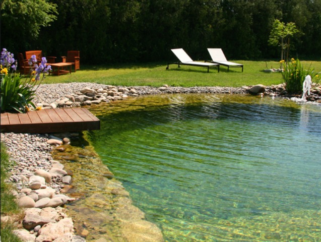 Tout sur la piscine écologique et les piscines naturelles - Écohabitation