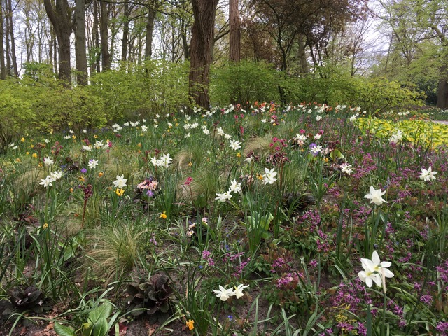 Inspiration jardin sauvage