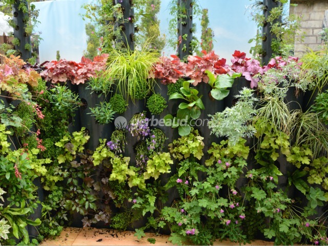 Idée pour terrasse : planter en hauteur (Jardins, Jardin 2016)