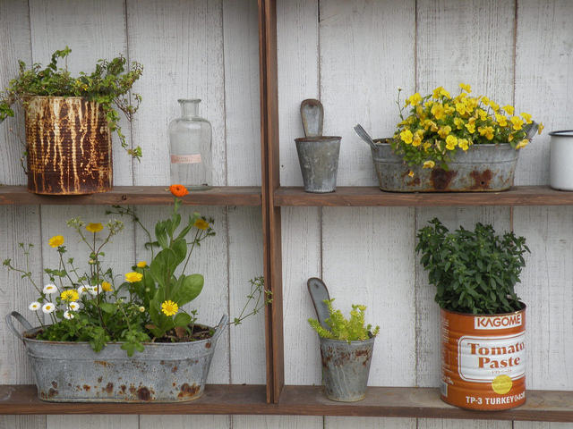 Plantes dans des pots en zinc et boîtes métalliques