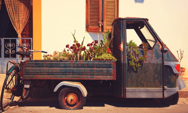 Vieux camion déguisé en jardinière