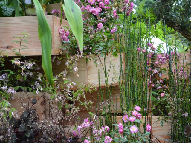 Plantes installées dans des caisses de vin