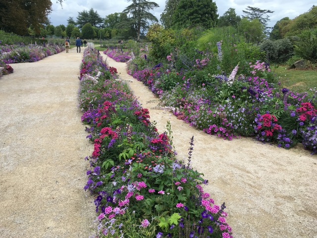 Harmonie chromatique de roses et violets