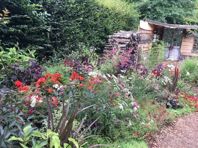 Cabane de jardin, vieux tas de bois, couleurs inquiétantes 