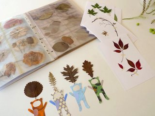 Herbier d'enfant